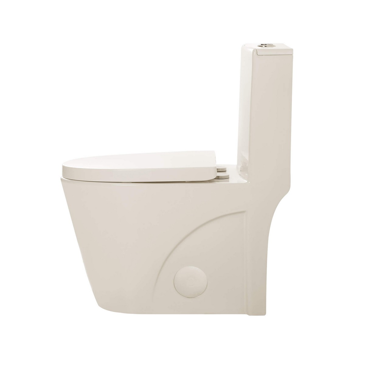 MOTB7 O 4.jpg MOTB7 O 4.jpg