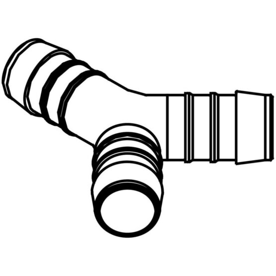 THP3369.jpg