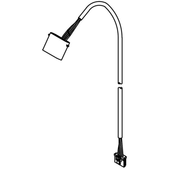 THP3407.jpg